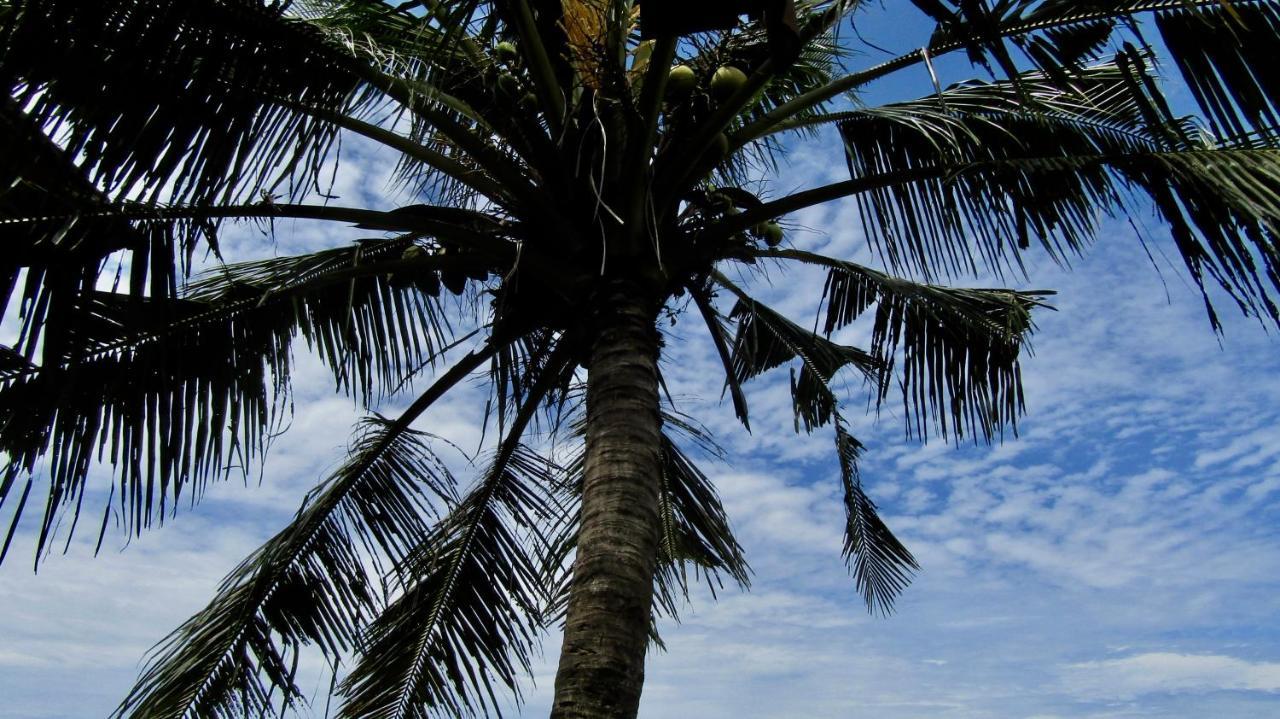 Dikaloha Surfschool&Stay Airsatang Exterior foto